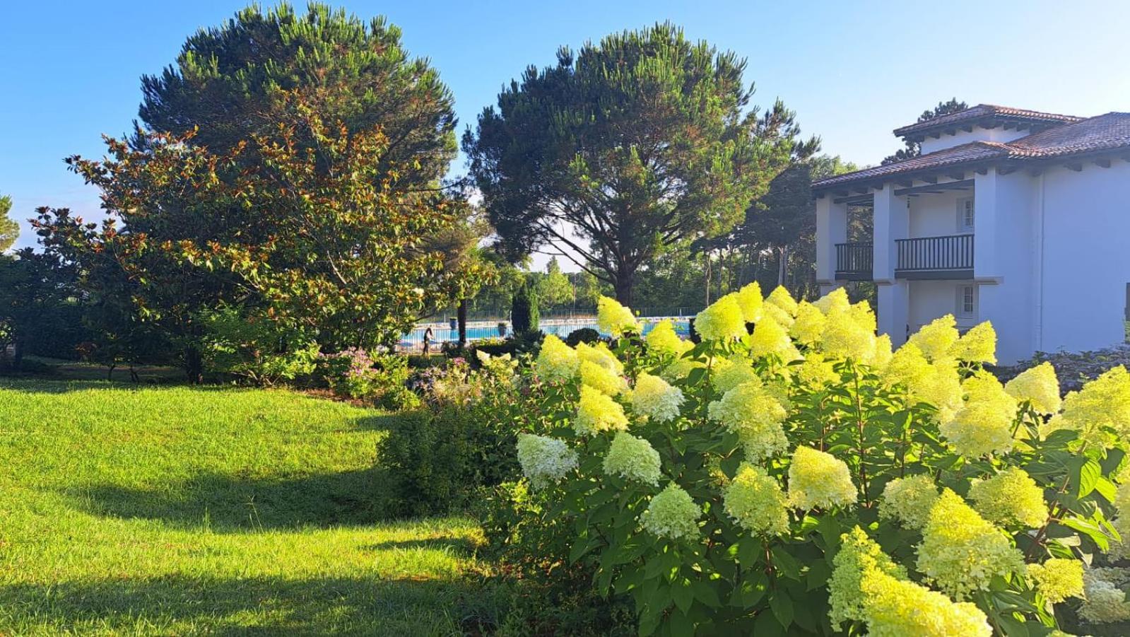 Atlantic Selection - Domaine De Bordaberry - Terrasse & Superbe Piscine Apartment Urrugne Luaran gambar